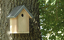 Paris offre des arbres aux Parisiens et des nichoirs aux moineaux Paris offre des arbres aux Parisiens et des nichoirs aux moineaux