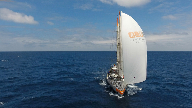 Crédit : Romain Trouble, Tara Expeditions Foundation.