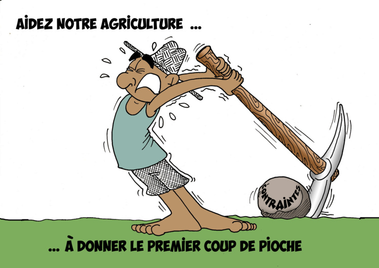 " La foire agricole " vu par Munoz