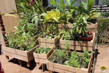 Formés en CAE, ils ont pu créer leur emploi ! Formés en CAE, ils ont pu créer leur emploi !