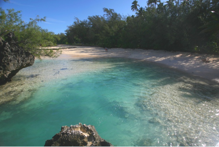 Exploration d’un rivage de bonne heure le matin. C’est l’heure des trouvailles amenées durant la nuit par la mer… Exploration d’un rivage de bonne heure le matin. C’est l’heure des trouvailles amenées durant la nuit par la mer…
