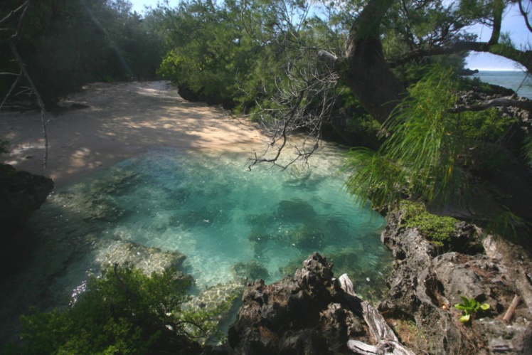 Ce petit bassin très oxygéné est un jacuzzi naturel qui emportera l’adhésion des grands comme des petits. Détente assurée ! Ce petit bassin très oxygéné est un jacuzzi naturel qui emportera l’adhésion des grands comme des petits. Détente assurée !
