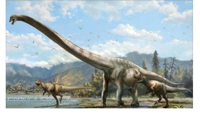 Le plus grand dinosaure du Brésil retrouvé après 60 ans dans un placard