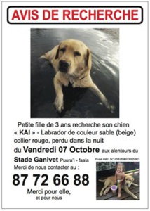 Disparition du labrador Kai : la commune de Faa'a porte plainte Disparition du labrador Kai : la commune de Faa'a porte plainte