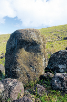 Une tête très abîmée du véritable ahu Akivi, situé à deux kilomètres de l’ahu Atiu.