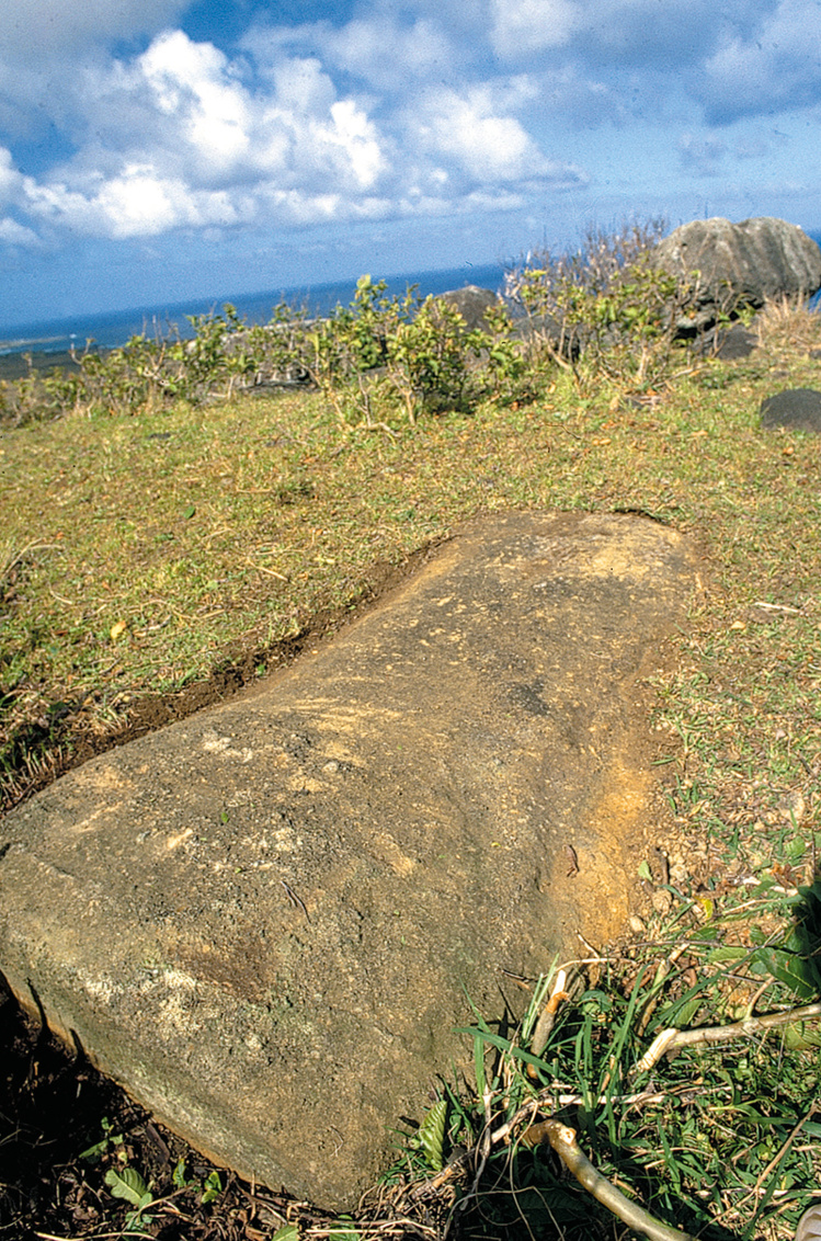 La partie supérieure de l’ahu Akivi, telle qu’elle apparaît aujourd’hui. Pour ainsi dire invisibleCe moai et quelques autres presque totalement enterrés sont les seuls vestiges imposants du véritable ahu Akivi. À vous de le redécouvrir au cours d’une randonnée pour le moins originale.