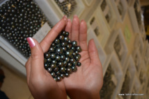 Un forum pour "rebooster l'image de la perle" Un forum pour "rebooster l'image de la perle"