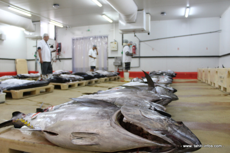 A la criée, le prix du poisson redescend
