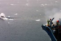 Partisans et adversaires de la chasse à la baleine affichent leur fermeté Partisans et adversaires de la chasse à la baleine affichent leur fermeté