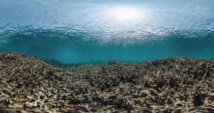 Les coraux continuent de mourir dans la Grande barrière australienne Les coraux continuent de mourir dans la Grande barrière australienne