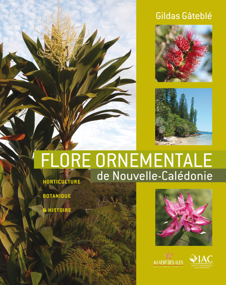 Les fleurs ornementales : une passion qui vaut le détour.