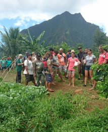 Comment devenir agriculteur bio en Polynésie ?