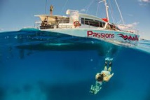 Australie: deux Français meurent lors d'une plongée sur la Grande Barrière Australie: deux Français meurent lors d'une plongée sur la Grande Barrière