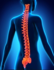 Photo d'illustration Photo d'illustration