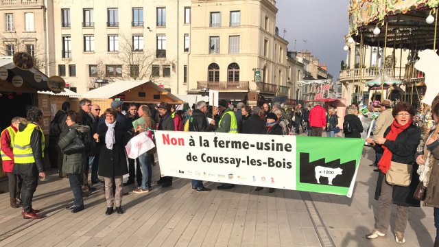 Vienne: manifestation contre un projet de ferme-usine de 1200 taurillons