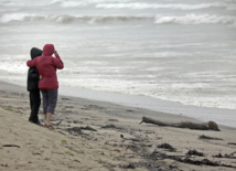 Sept morts et un disparu dans un naufrage en Nouvelle-Zélande