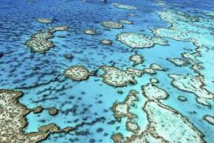 La Grande barrière de corail ne se meurt pas, assure Canberra