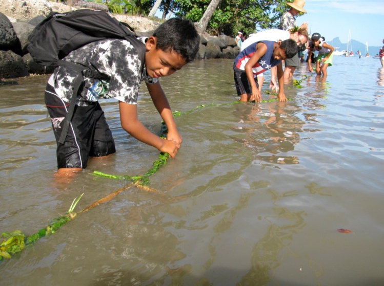 La chaine humaine formée autour de la pointe Tata’a en 2009. La chaine humaine formée autour de la pointe Tata’a en 2009.