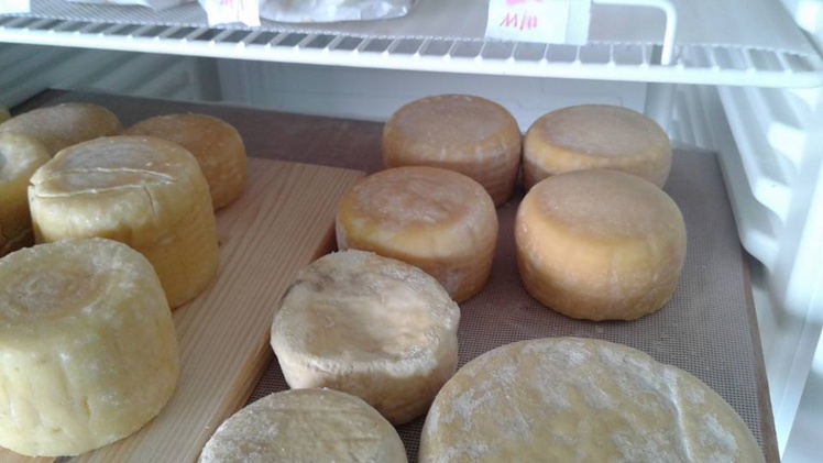 La fromagère de Tahiti en fait tout un fromage La fromagère de Tahiti en fait tout un fromage