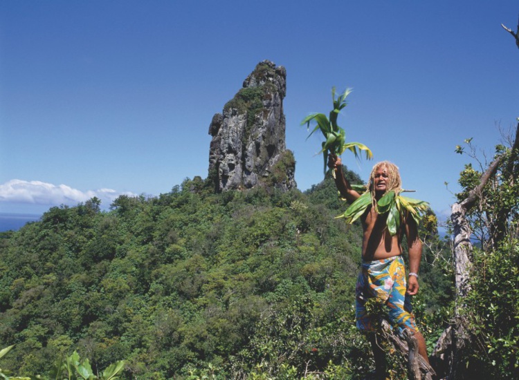 A Rarotonga, n’hésitez pas à sortir du traditionnel “tour de l’île”, la montagne y est très belle. A Rarotonga, n’hésitez pas à sortir du traditionnel “tour de l’île”, la montagne y est très belle.