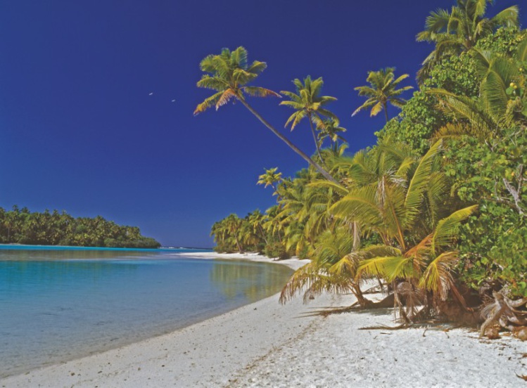 Avouez que l’on se croirait sur une plage des Tuamotu. Pourtant, on est ici sur une île haute, Aitutaki, la plus fréquentée des destinations que proposent les îles Cook.