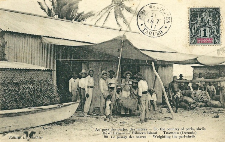Le triage des nacres à Hikueru en 1912. Photo Lucien Gauthier.