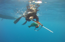 Chasse sous-marine : "le risque zéro n'existe pas" Chasse sous-marine : "le risque zéro n'existe pas"