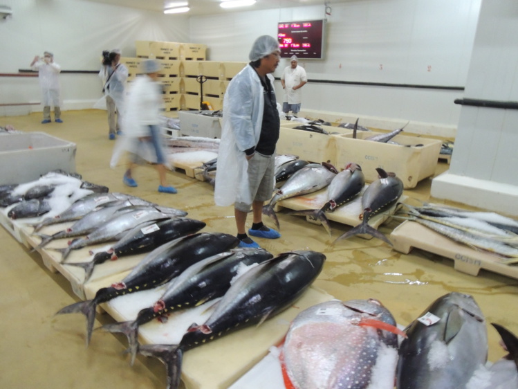 Pêche : record des recettes à l'exportation