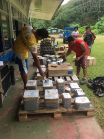 Artifices Polynésie : faire rêver en toute sécurité