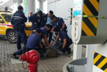 Chasse au cochon sauvage à l'aéroport de Hong Kong