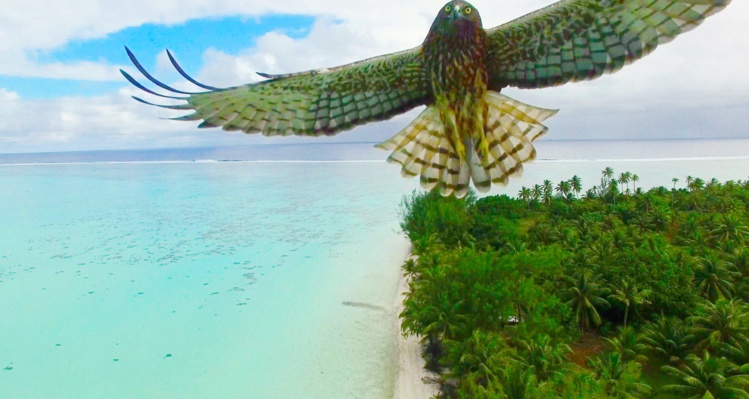 Deux clichés pris en Polynésie dans le top 20 de Dronestagram