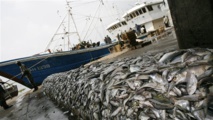 especter l'accord de Paris permettrait d'épargner la pêche mondiale
