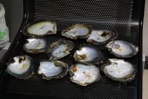 Rétrospective 2016 : les temps forts de septembre Rétrospective 2016 : les temps forts de septembre