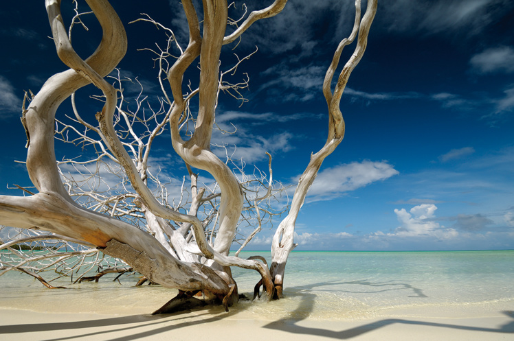 Atoll de Kauehi, Tutamotu. Atoll de Kauehi, Tutamotu.