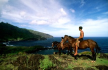 Nouvelle année: Les voeux de la rédaction en langues polynésiennes Nouvelle année: Les voeux de la rédaction en langues polynésiennes