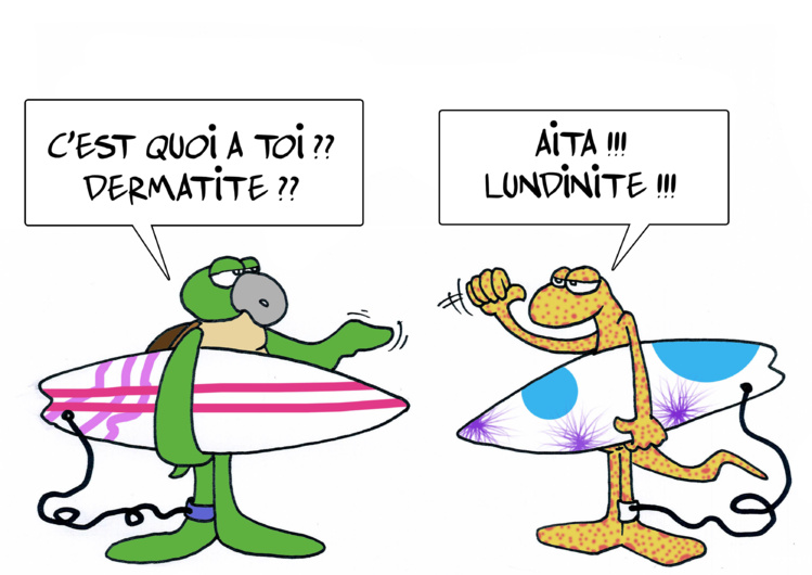 " La dermatite du surfeur " vu par Munoz " La dermatite du surfeur " vu par Munoz