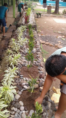 1- Les actions d'embellissement du collège réalisées par les élèves du Cetad de Paopao. 1- Les actions d'embellissement du collège réalisées par les élèves du Cetad de Paopao.