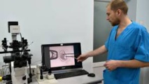 Naissance en Ukraine d'un enfant conçu par une nouvelle technique de FIV à "trois parents" Naissance en Ukraine d'un enfant conçu par une nouvelle technique de FIV à "trois parents"