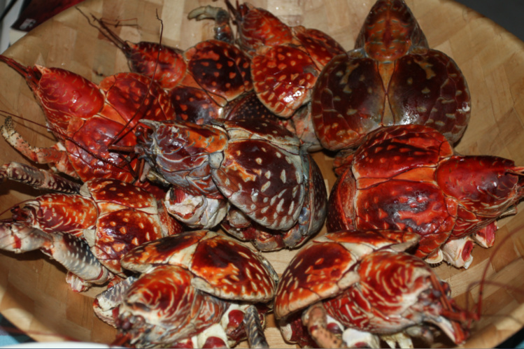 Le kaveu, un mets délicat, véritable “foie gras” des Tuamotu quand il est bien préparé. Le kaveu, un mets délicat, véritable “foie gras” des Tuamotu quand il est bien préparé.