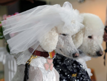 Photo d'illustration. Photo d'illustration.