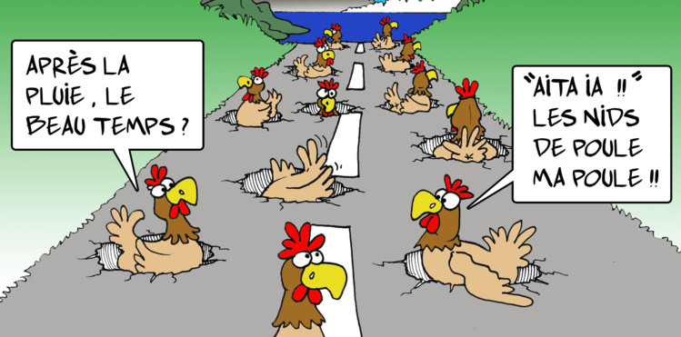 " Les nids de poule " par Munoz " Les nids de poule " par Munoz