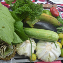 Sophia Toofa, itinéraire d'une agricultrice bio Sophia Toofa, itinéraire d'une agricultrice bio