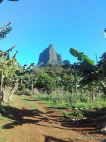 Sophia Toofa, itinéraire d'une agricultrice bio Sophia Toofa, itinéraire d'une agricultrice bio