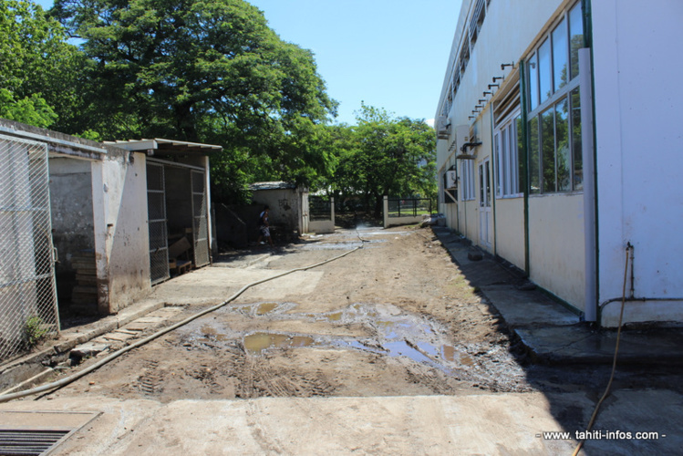 Intempéries : le lycée technique du Taaone reprend son souffle Intempéries : le lycée technique du Taaone reprend son souffle