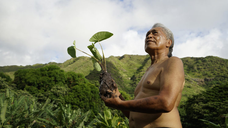 "Sons of Hālawa" participe au Fifo hors compétition.