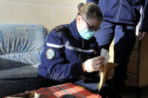 La Réunion : une octogénaire assassinée dans des conditions d'extrême violence La Réunion : une octogénaire assassinée dans des conditions d'extrême violence