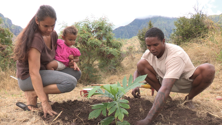 "The Roots of 'Ulu" "The Roots of 'Ulu"