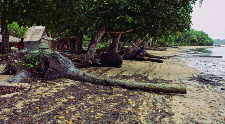 Fifo 2017 : "The Opposition" remporte le Grand Prix du jury et "Alors on danse" gagne le Prix du public Fifo 2017 : "The Opposition" remporte le Grand Prix du jury et "Alors on danse" gagne le Prix du public