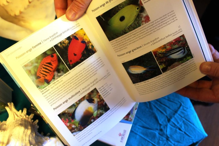 Guide des poissons : "la 4ème édition est presque un nouveau guide"