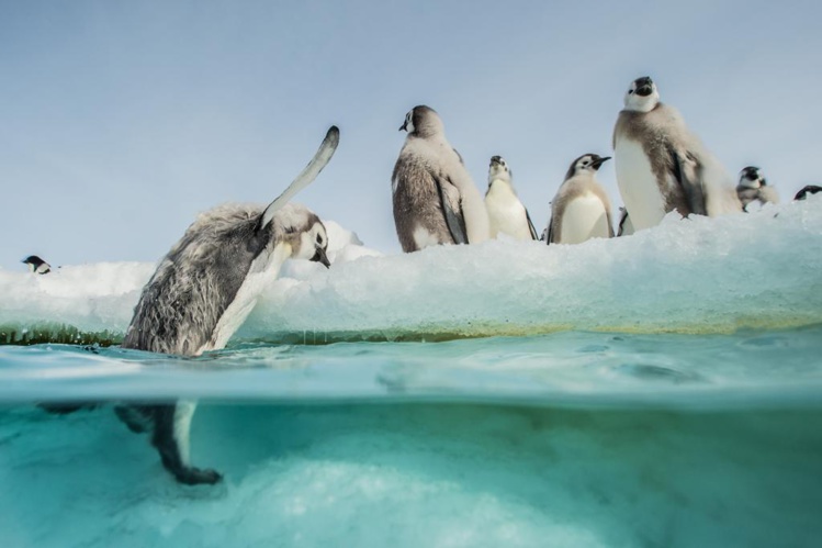 crédit - Walt Disney Studios. crédit - Walt Disney Studios.